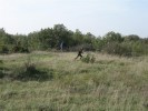 BattleField1_0054.JPG