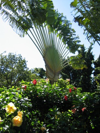 PhotosFleurs_38.jpg