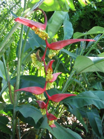 PhotosFleurs_49.jpg