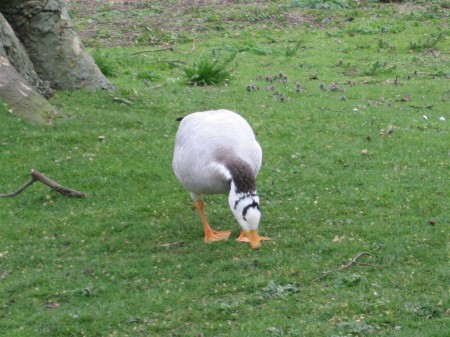 PhotosLondres2007_019.jpg