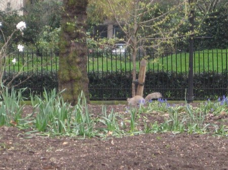 PhotosLondres2007_021.jpg