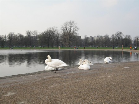 PhotosLondres2007_287.jpg