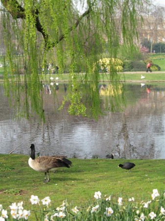 PhotosLondres2007_314.jpg